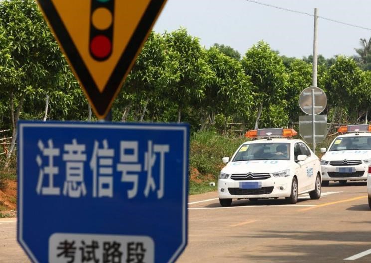  成功汽车,斑马