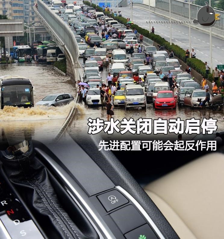  路虎,发现