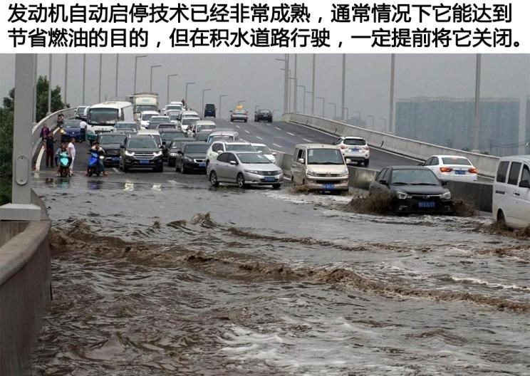  路虎,发现