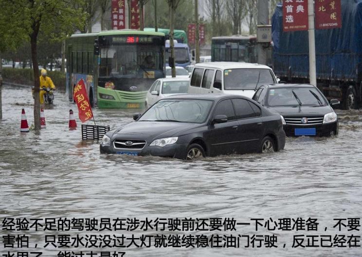  路虎,发现