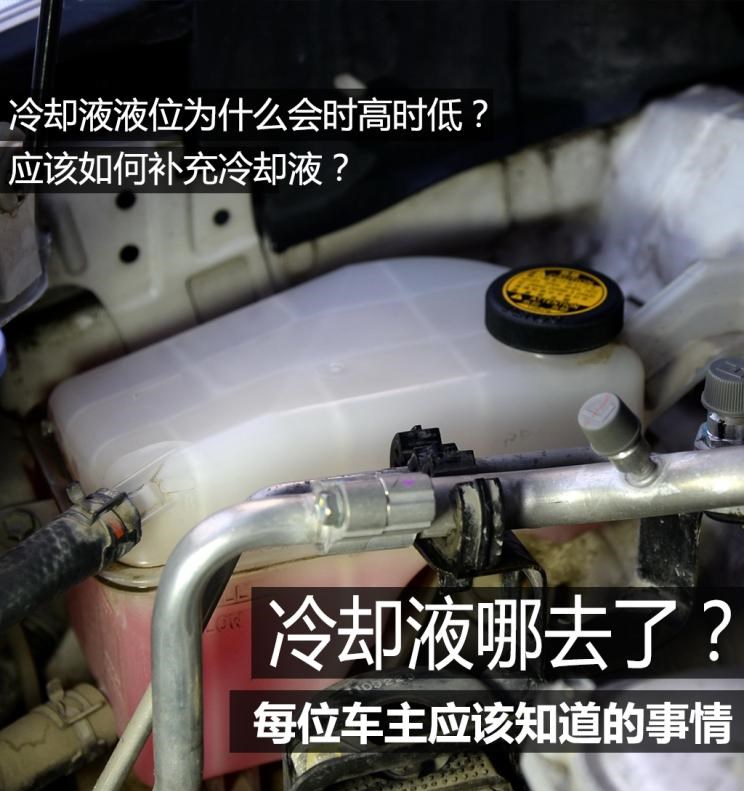  路虎,发现
