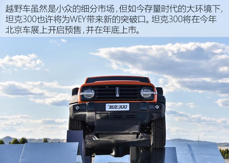  哈弗,哈弗H9,坦克,坦克300