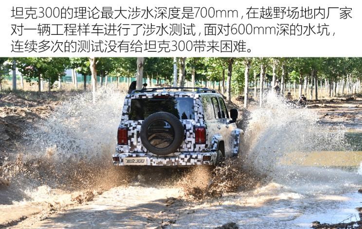  哈弗,哈弗H9,坦克,坦克300