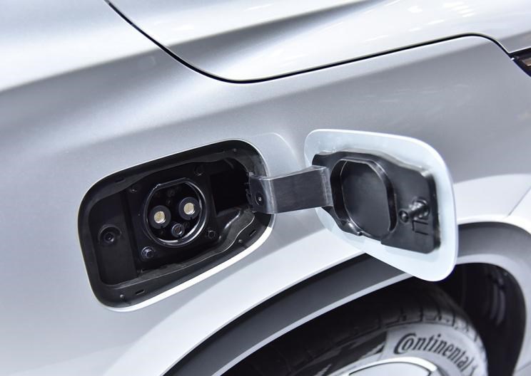  成功汽车,斑马