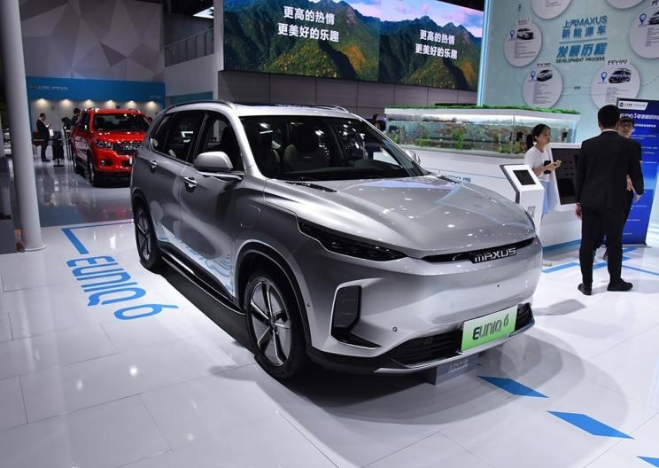  成功汽车,斑马