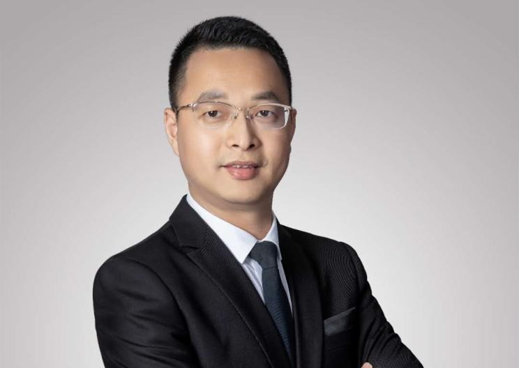  路虎,发现