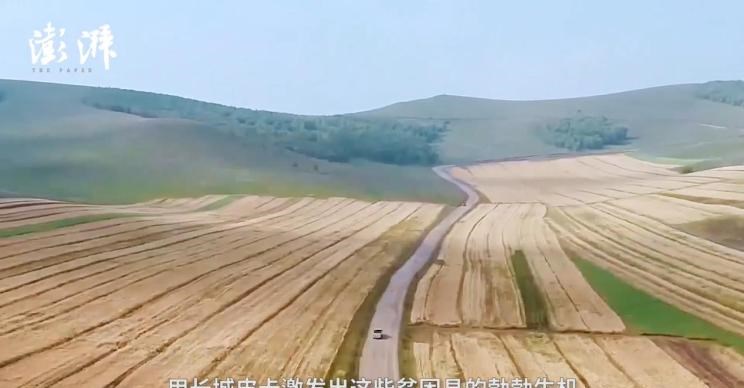  长城,风骏5,风骏7