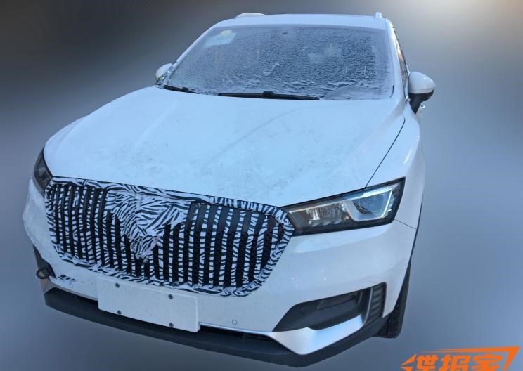  成功汽车,斑马,路虎,发现