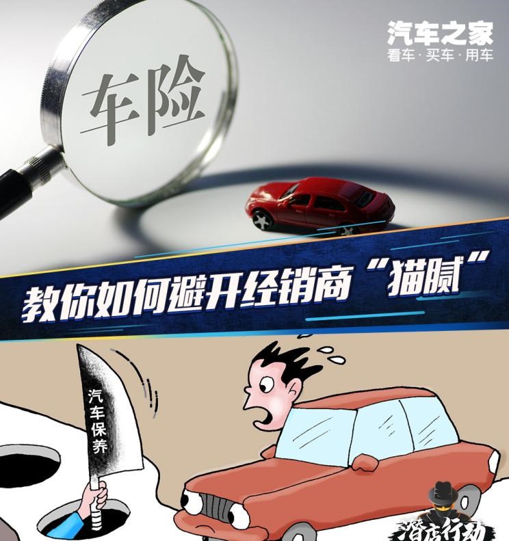 路虎,发现