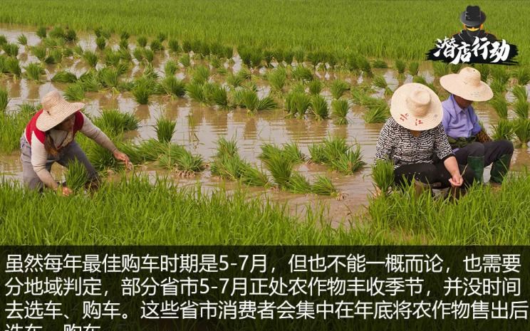  路虎,发现