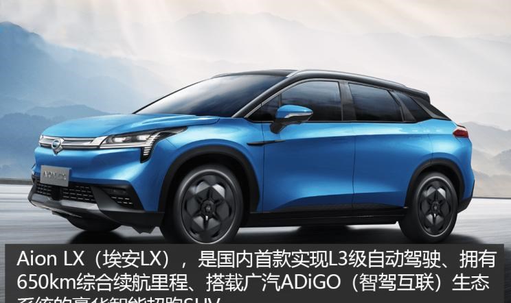  特斯拉,Model Y,Model 3,Model X,路虎,发现,广汽传祺,传祺GS4,蔚来,蔚来ES6