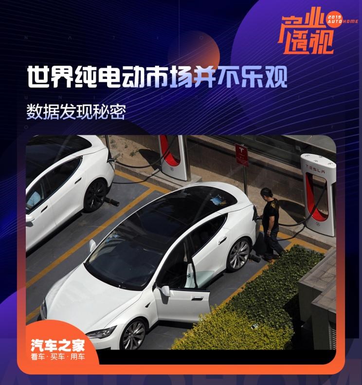  特斯拉,Model 3,Model X,Model S,日产,轩逸,路虎,发现,大众,高尔夫,宝马,宝马i3