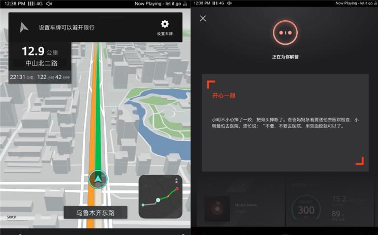  成功汽车,斑马