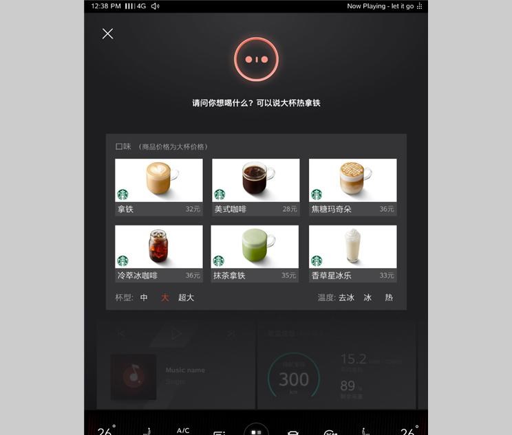 成功汽车,斑马