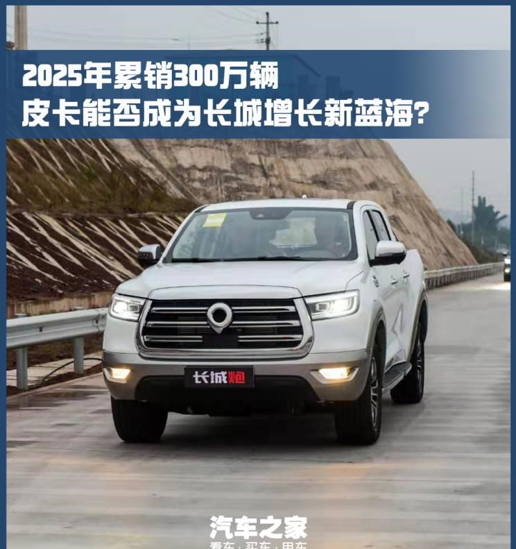  长城,炮