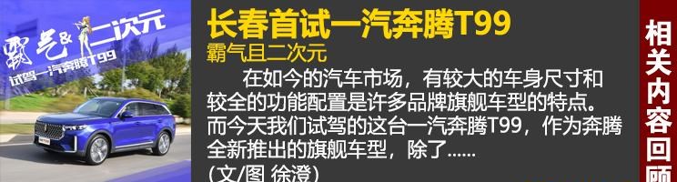  奔腾,奔腾T99,路虎,发现