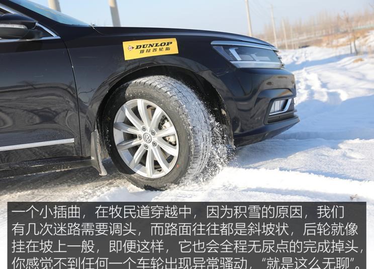  路虎,发现