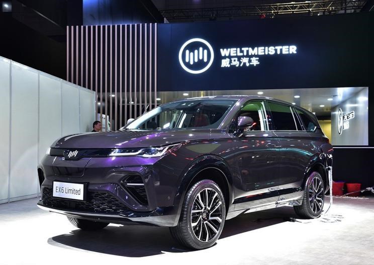  特斯拉,Model X,Model S,Model 3,Model Y,小鹏,小鹏P5,小鹏G3,小鹏G9,小鹏P7,威马汽车,威马M7,威马EX5,威马E.5,威马W6