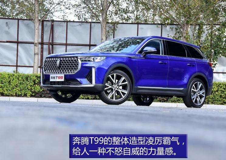  奔腾,奔腾T77,奔腾T99,广汽传祺,传祺GS8,红旗,红旗HS5,长安,长安CS95