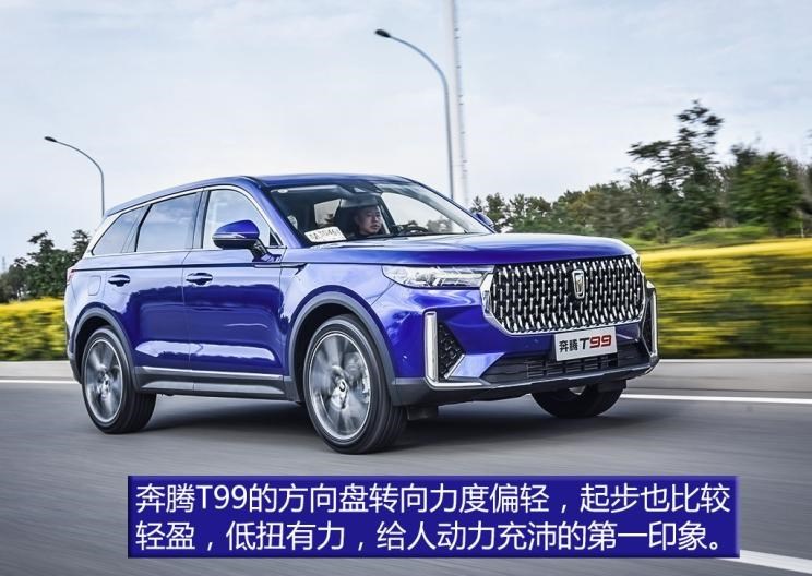  奔腾,奔腾T77,奔腾T99,广汽传祺,传祺GS8,红旗,红旗HS5,长安,长安CS95