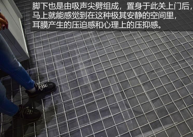  荣威,荣威RX5 MAX,荣威RX5