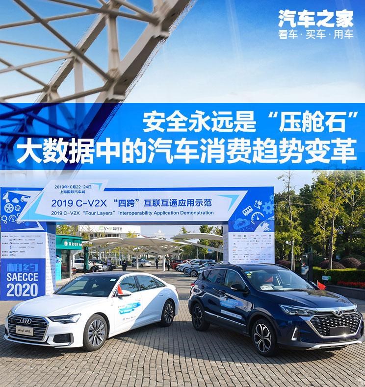  成功汽车,斑马