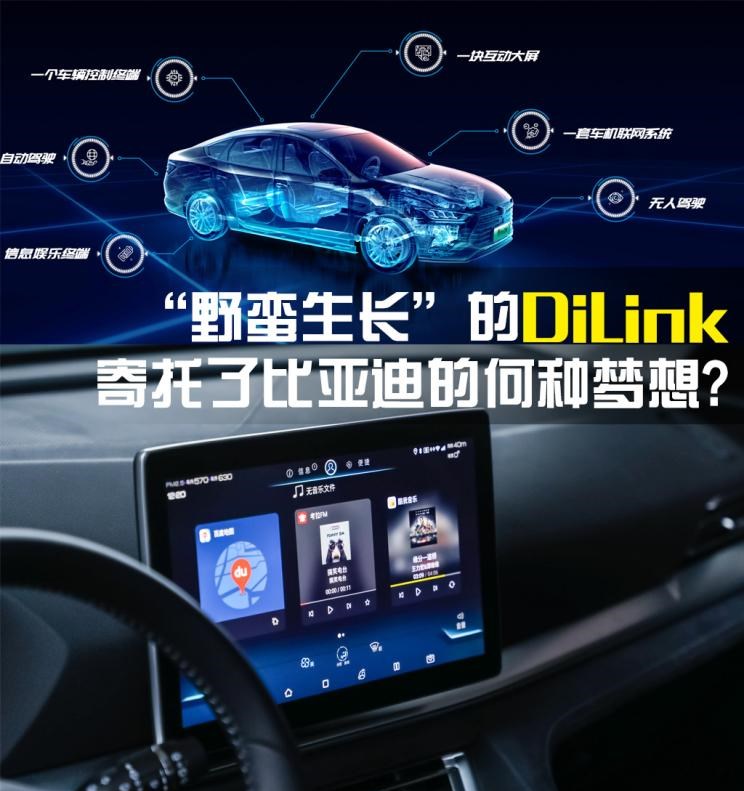  成功汽车,斑马