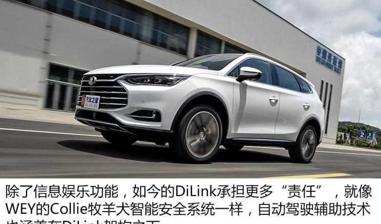  成功汽车,斑马