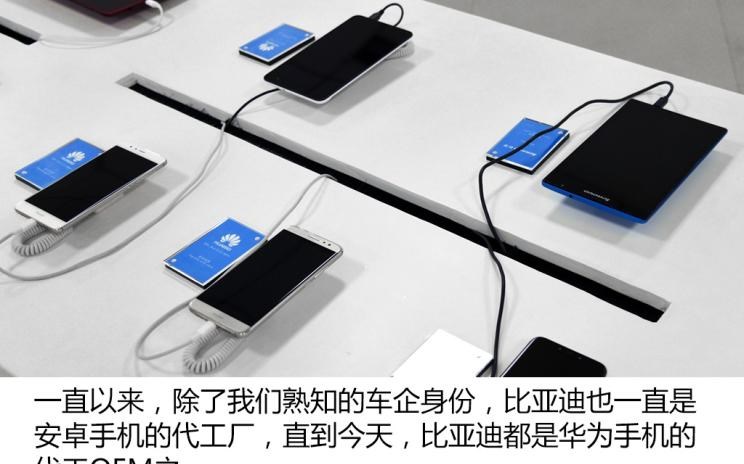  成功汽车,斑马