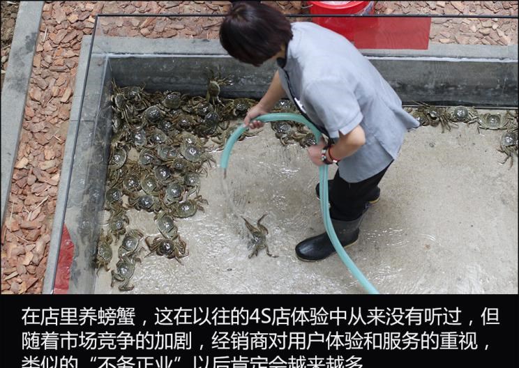  路虎,发现