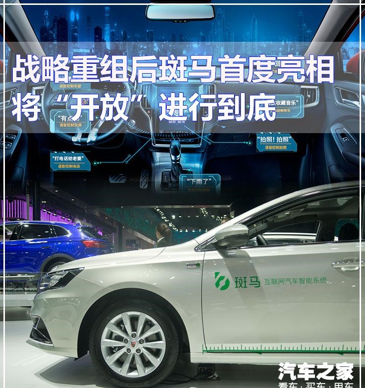  成功汽车,斑马