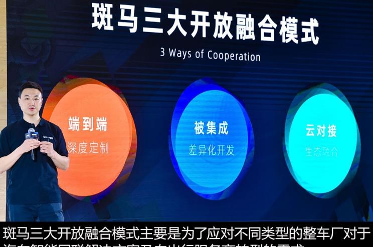  成功汽车,斑马