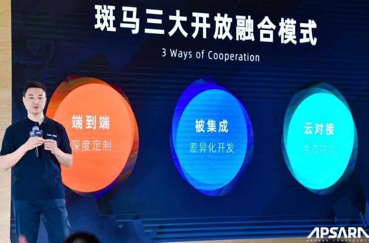  成功汽车,斑马