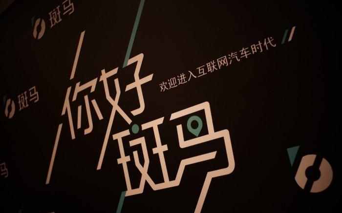  成功汽车,斑马