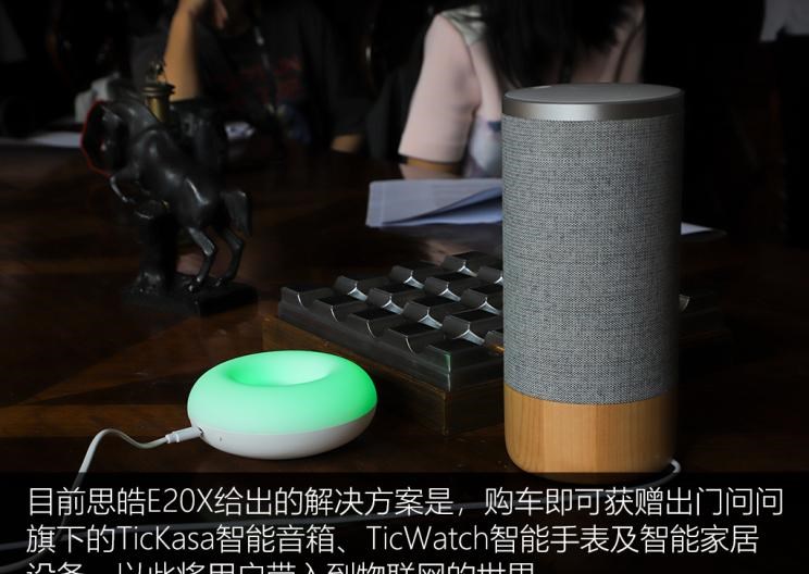  成功汽车,斑马