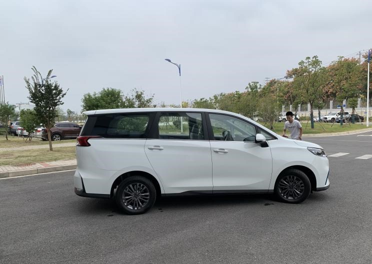  成功汽车,斑马