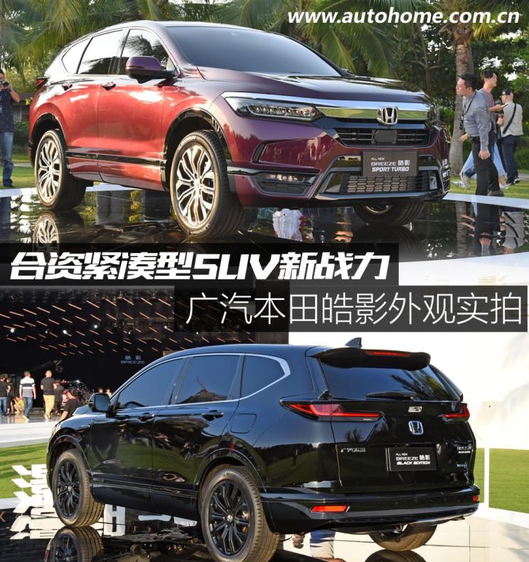  本田,本田CR-V,皓影,丰田,RAV4荣放