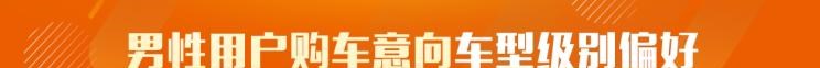  路虎,发现