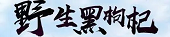 火币网